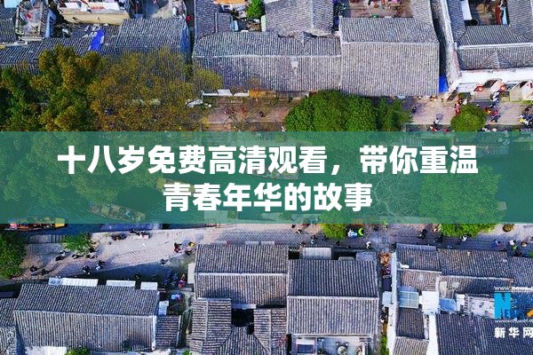 十八岁免费高清观看，带你重温青春年华的故事