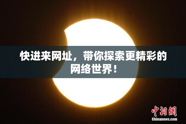 快进来网址，带你探索更精彩的网络世界！