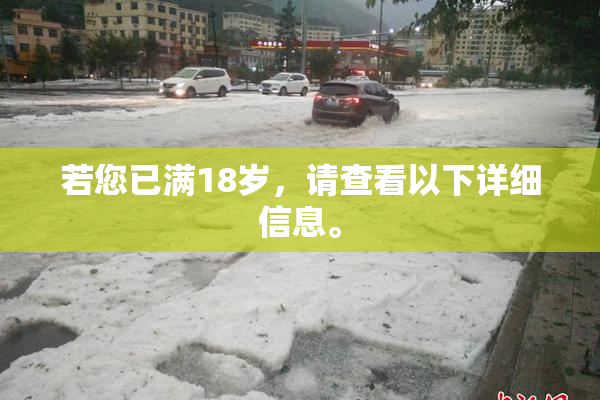 若您已满18岁，请查看以下详细信息。