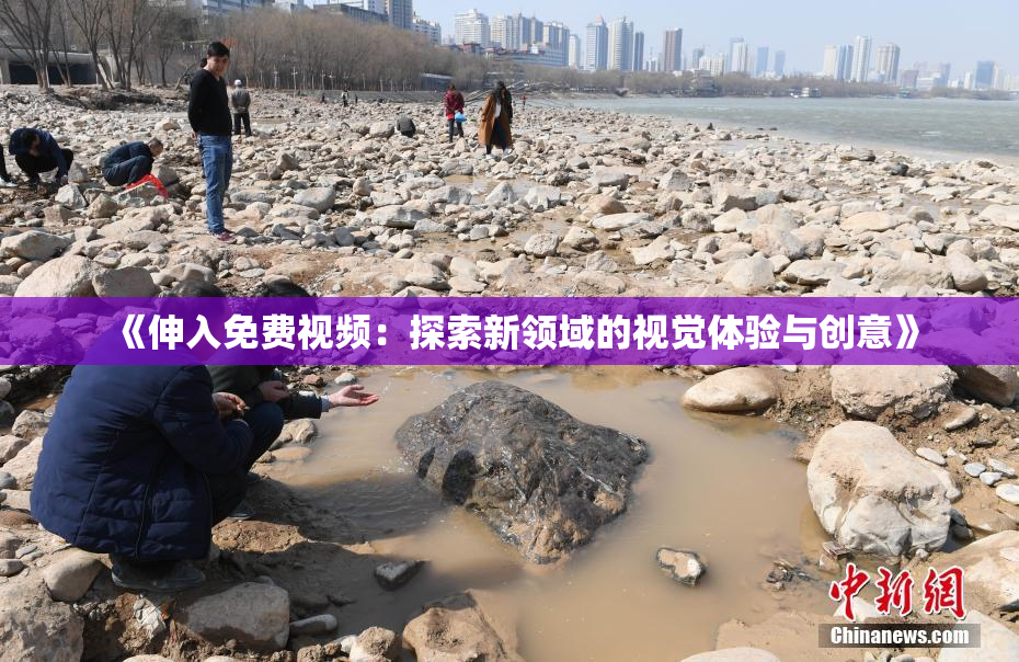 《伸入免费视频：探索新领域的视觉体验与创意》