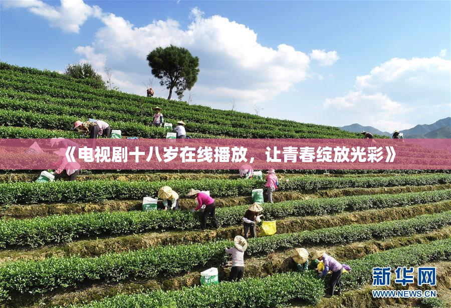 《电视剧十八岁在线播放，让青春绽放光彩》