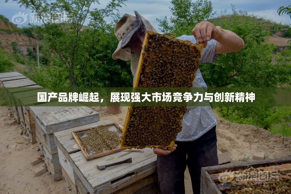 国产品牌崛起，展现强大市场竞争力与创新精神