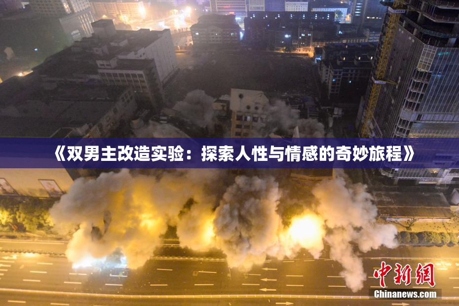 《双男主改造实验：探索人性与情感的奇妙旅程》