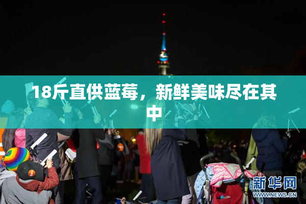 18斤直供蓝莓，新鲜美味尽在其中