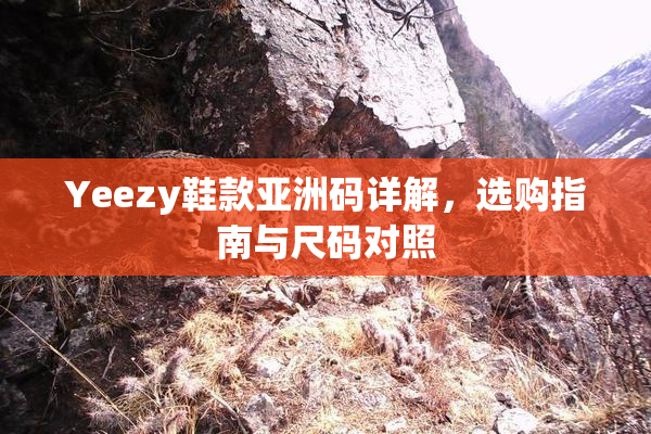 Yeezy鞋款亚洲码详解，选购指南与尺码对照