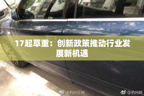 17起草重：创新政策推动行业发展新机遇