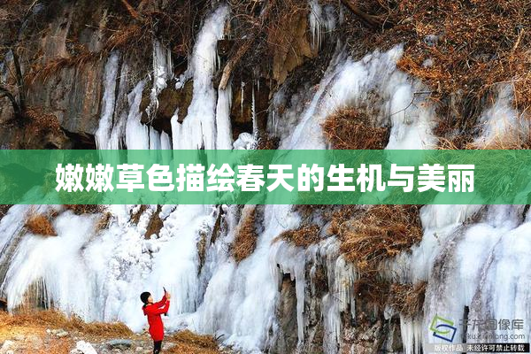 嫩嫩草色描绘春天的生机与美丽