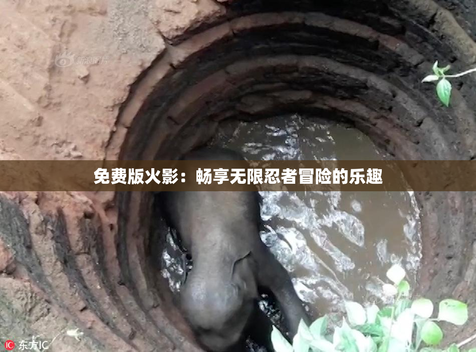 免费版火影：畅享无限忍者冒险的乐趣