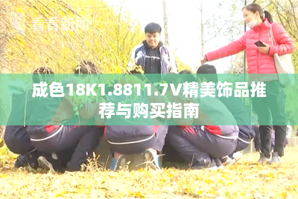 成色18K1.8811.7V精美饰品推荐与购买指南
