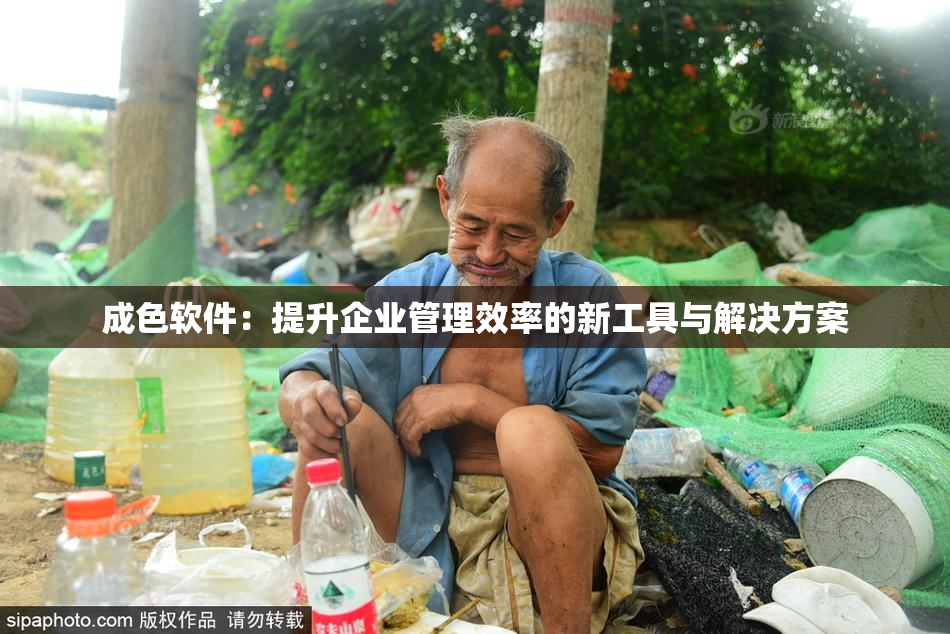 成色软件：提升企业管理效率的新工具与解决方案
