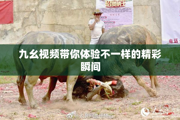 九幺视频带你体验不一样的精彩瞬间