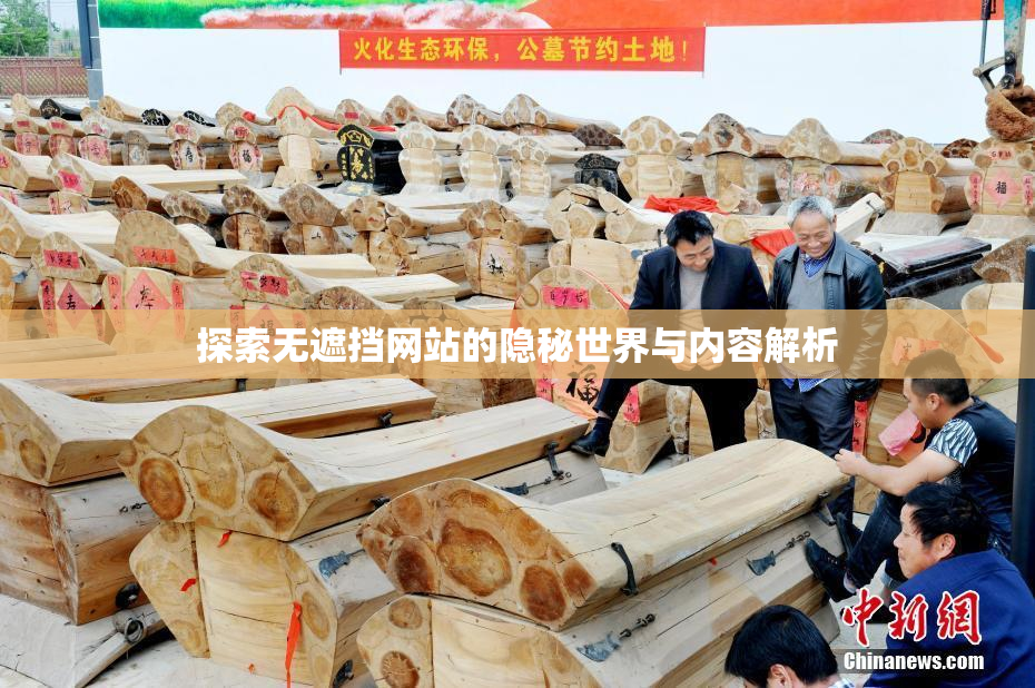 探索无遮挡网站的隐秘世界与内容解析
