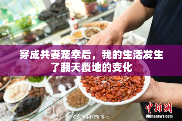 穿成共妻宠幸后，我的生活发生了翻天覆地的变化
