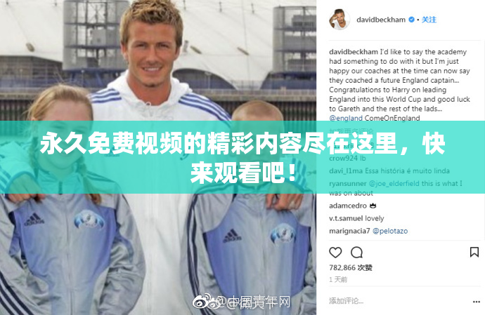 永久免费视频的精彩内容尽在这里，快来观看吧！