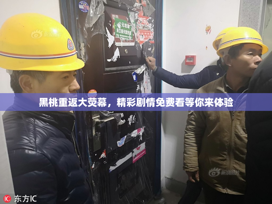 黑桃重返大荧幕，精彩剧情免费看等你来体验