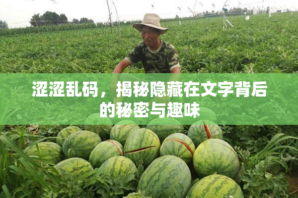 涩涩乱码，揭秘隐藏在文字背后的秘密与趣味