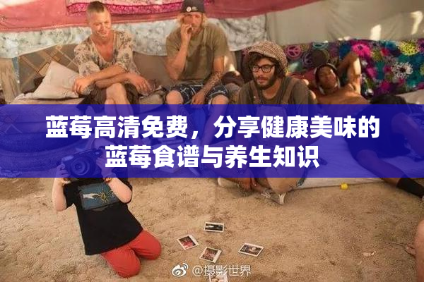 蓝莓高清免费，分享健康美味的蓝莓食谱与养生知识