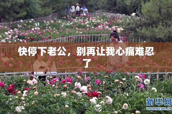 快停下老公，别再让我心痛难忍了