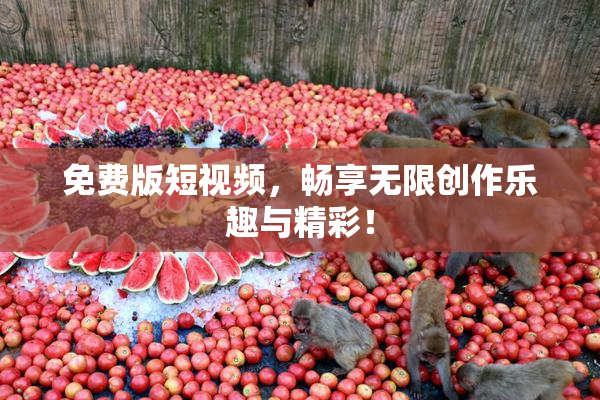 免费版短视频，畅享无限创作乐趣与精彩！