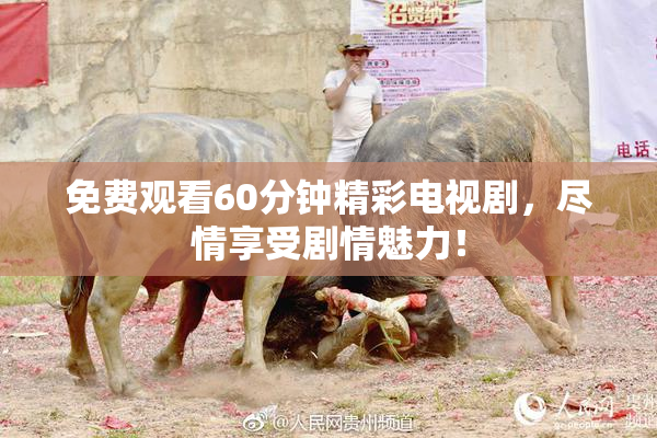 免费观看60分钟精彩电视剧，尽情享受剧情魅力！