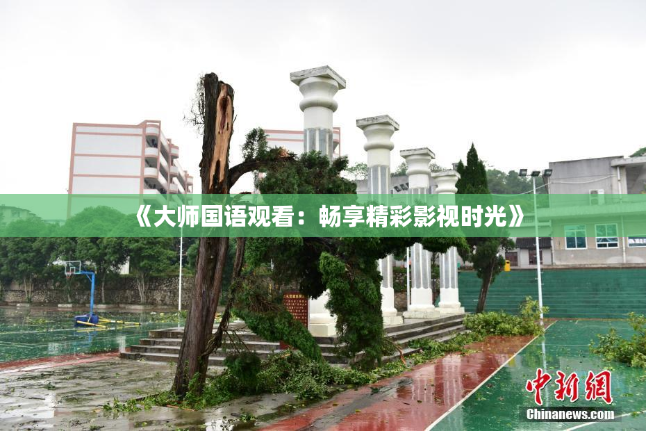 《大师国语观看：畅享精彩影视时光》