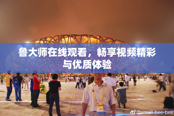 鲁大师在线观看，畅享视频精彩与优质体验
