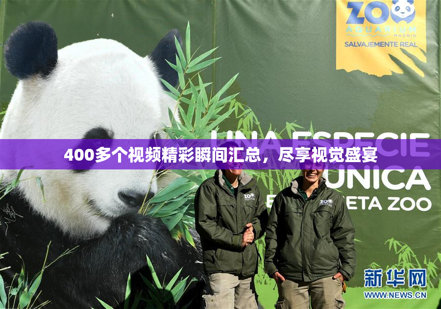 400多个视频精彩瞬间汇总，尽享视觉盛宴