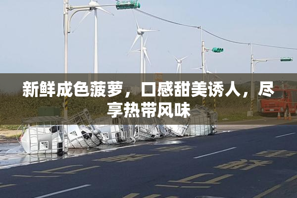 新鲜成色菠萝，口感甜美诱人，尽享热带风味