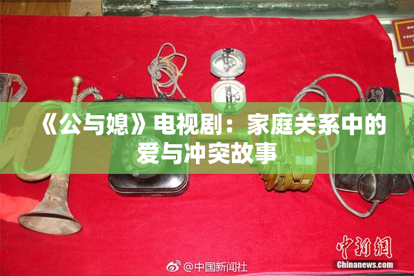 《公与媳》电视剧：家庭关系中的爱与冲突故事