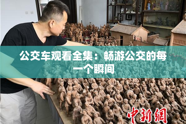 公交车观看全集：畅游公交的每一个瞬间