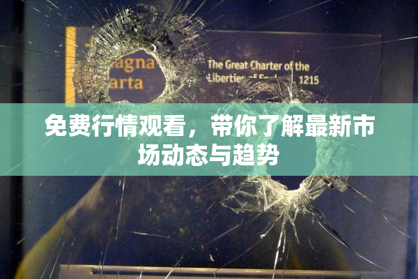 免费行情观看，带你了解最新市场动态与趋势