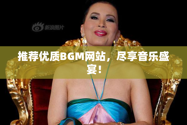 推荐优质BGM网站，尽享音乐盛宴！