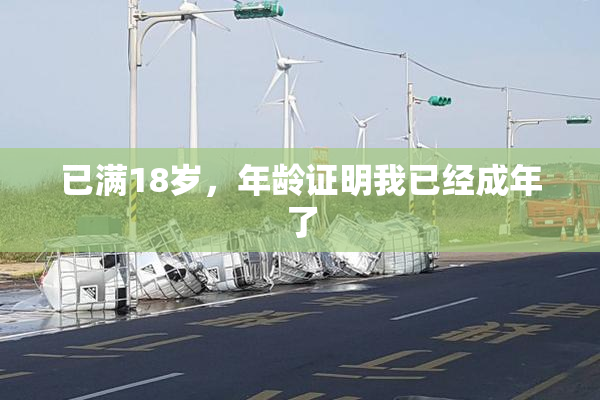 已满18岁，年龄证明我已经成年了