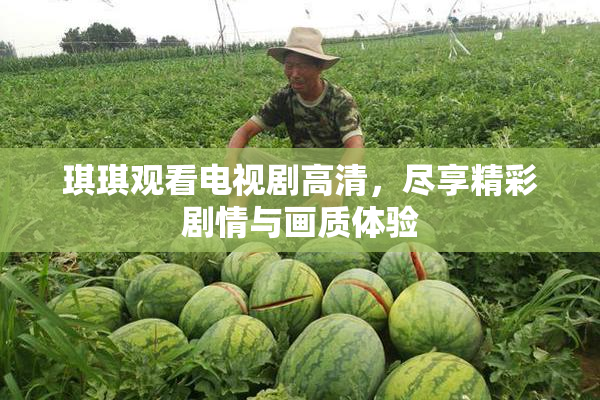 琪琪观看电视剧高清，尽享精彩剧情与画质体验