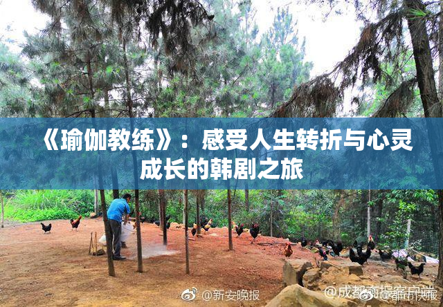 《瑜伽教练》：感受人生转折与心灵成长的韩剧之旅