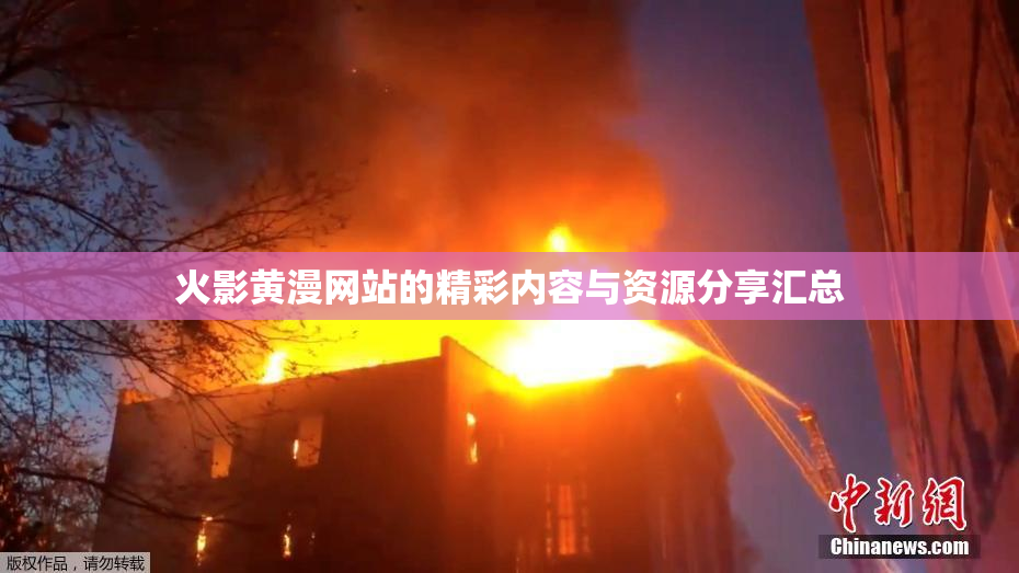 火影黄漫网站的精彩内容与资源分享汇总