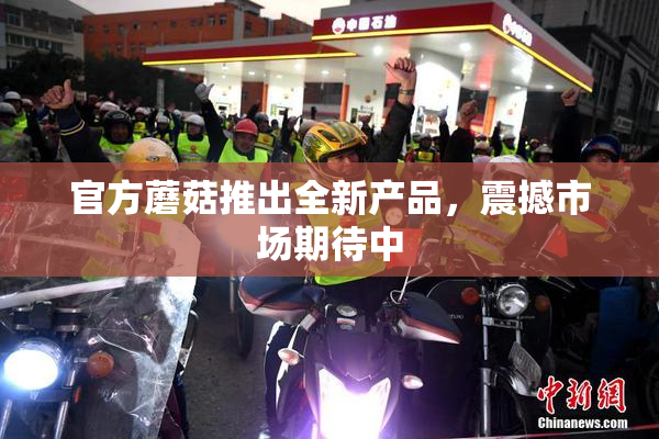 官方蘑菇推出全新产品，震撼市场期待中