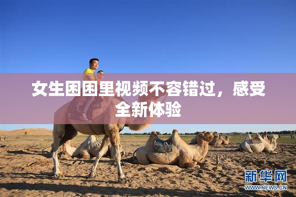 女生困困里视频不容错过，感受全新体验