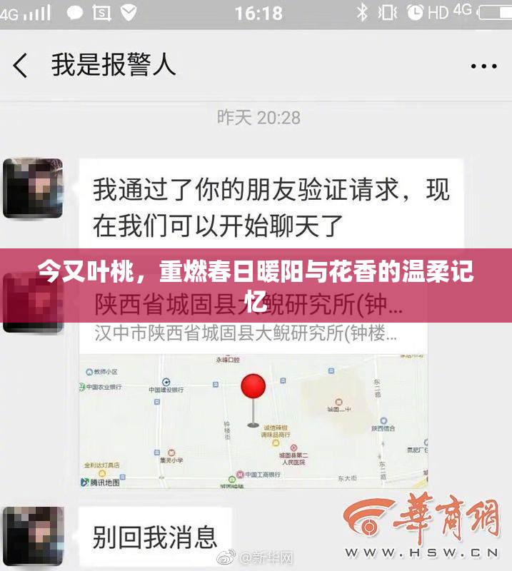 今又叶桃，重燃春日暖阳与花香的温柔记忆