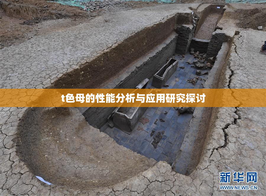 t色母的性能分析与应用研究探讨