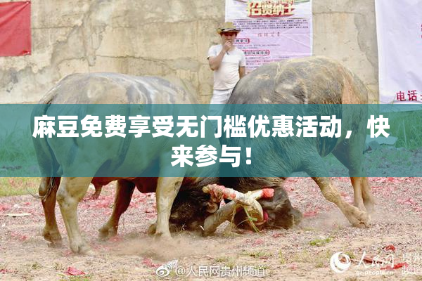 麻豆免费享受无门槛优惠活动，快来参与！