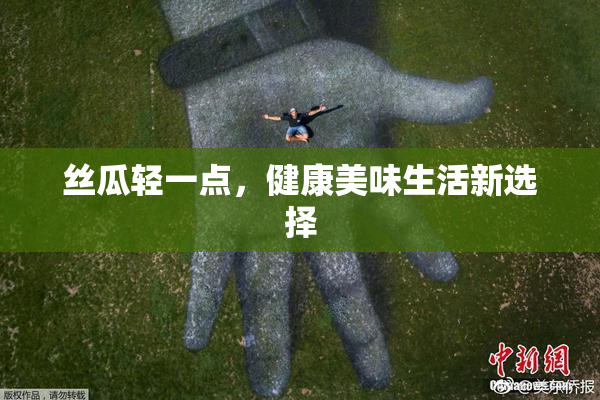 丝瓜轻一点，健康美味生活新选择
