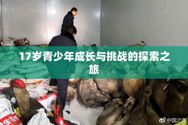 17岁青少年成长与挑战的探索之旅