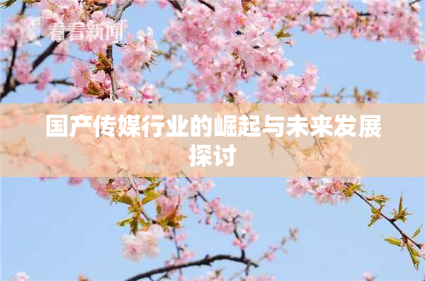 国产传媒行业的崛起与未来发展探讨