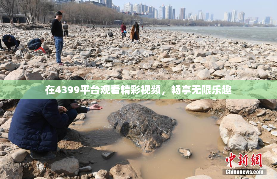在4399平台观看精彩视频，畅享无限乐趣