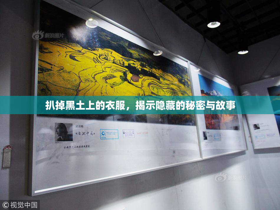 扒掉黑土上的衣服，揭示隐藏的秘密与故事