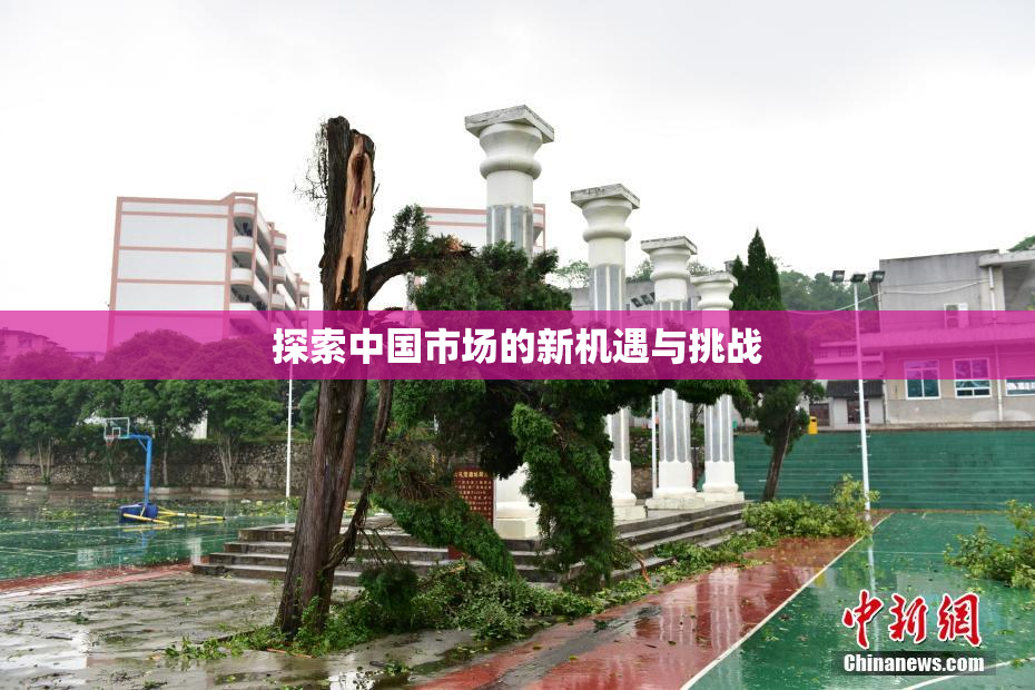 探索中国市场的新机遇与挑战