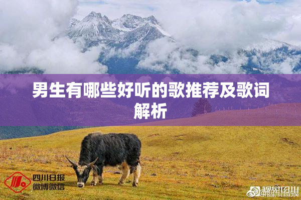 男生有哪些好听的歌推荐及歌词解析