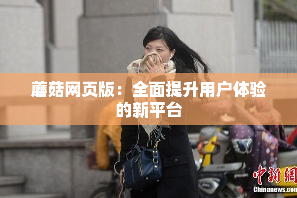蘑菇网页版：全面提升用户体验的新平台