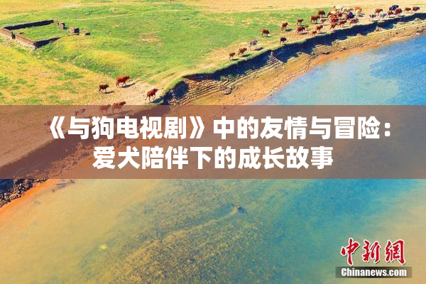 《与狗电视剧》中的友情与冒险：爱犬陪伴下的成长故事